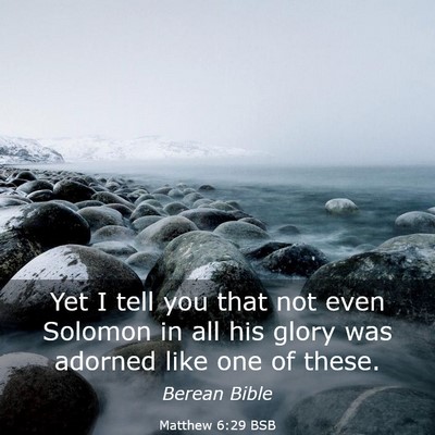 Picture 03 - Matthew 6:29 BSB - Yet I tell you that not even Solomon in all his - Bible Verse Picture