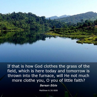 Picture 03 - Matthew 6:30 BSB - If that is how God clothes the grass of the - Bible Verse Picture