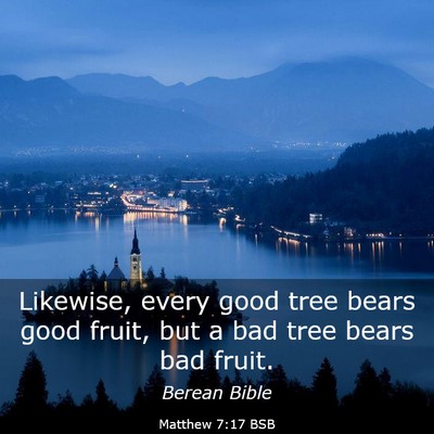 Picture 03 - Matthew 7:17 BSB - Likewise, every good tree bears good fruit, but a - Bible Verse Picture