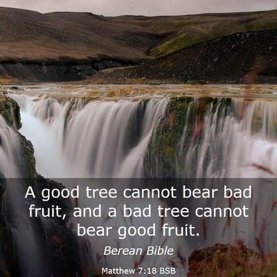 Picture 03 - Matthew 7:18 BSB - A good tree cannot bear bad fruit, and a bad tree - Bible Verse Picture