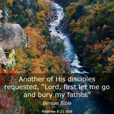 Picture 03 - Matthew 8:21 BSB - Another of His disciples requested, “Lord, - Bible Verse Picture