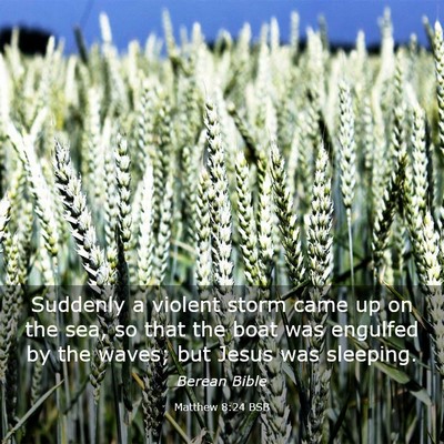 Picture 03 - Matthew 8:24 BSB - Suddenly a violent storm came up on the sea, so - Bible Verse Picture