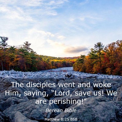 Picture 03 - Matthew 8:25 BSB - The disciples went and woke Him, saying, “Lord, - Bible Verse Picture