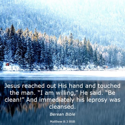 Picture 03 - Matthew 8:3 BSB - Jesus reached out His hand and touched the man. - Bible Verse Picture