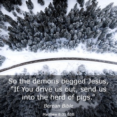 Picture 03 - Matthew 8:31 BSB - So the demons begged Jesus, “If You drive us - Bible Verse Picture