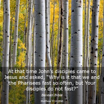 Picture 03 - Matthew 9:14 BSB - At that time John’s disciples came to Jesus and - Bible Verse Picture