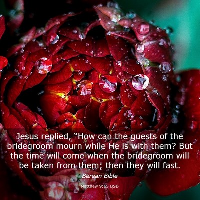 Picture 03 - Matthew 9:15 BSB - Jesus replied, “How can the guests of the - Bible Verse Picture