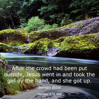 Picture 03 - Matthew 9:25 BSB - After the crowd had been put outside, Jesus went - Bible Verse Picture