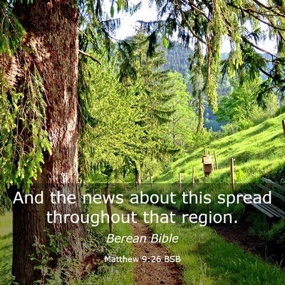 Picture 03 - Matthew 9:26 BSB - And the news about this spread throughout that - Bible Verse Picture