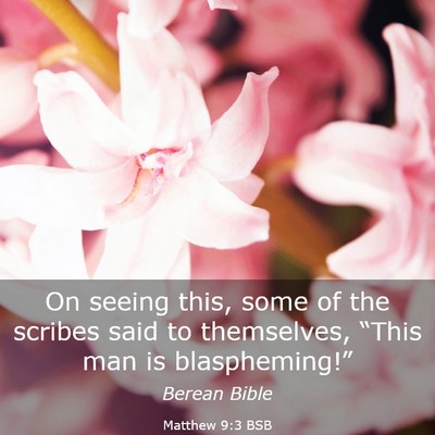 Picture 03 - Matthew 9:3 BSB - On seeing this, some of the scribes said to - Bible Verse Picture