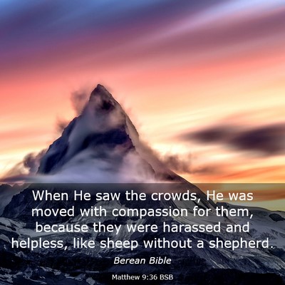 Picture 03 - Matthew 9:36 BSB - When He saw the crowds, He was moved with - Bible Verse Picture