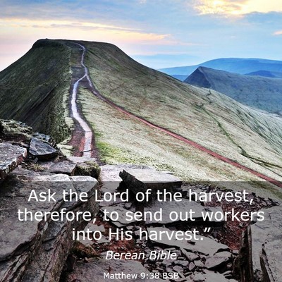 Picture 03 - Matthew 9:38 BSB - Ask the Lord of the harvest, therefore, to send - Bible Verse Picture