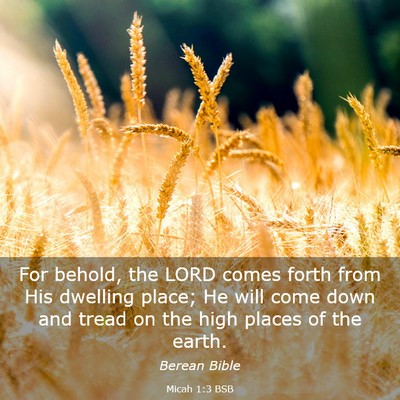 Picture 03 - Micah 1:3 BSB - For behold, the LORD comes forth from His - Bible Verse Picture