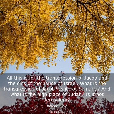 Picture 03 - Micah 1:5 BSB - All this is for the transgression of Jacob and - Bible Verse Picture