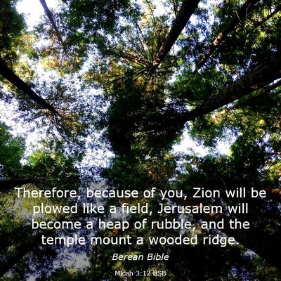 Picture 03 - Micah 3:12 BSB - Therefore, because of you, Zion will be plowed - Bible Verse Picture