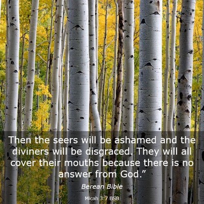 Picture 03 - Micah 3:7 BSB - Then the seers will be ashamed and the diviners - Bible Verse Picture
