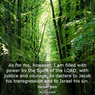 Picture 03 - Micah 3:8 BSB - As for me, however, I am filled with power by the - Bible Verse Picture