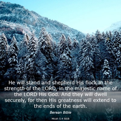 Picture 03 - Micah 5:4 BSB - He will stand and shepherd His flock in the - Bible Verse Picture