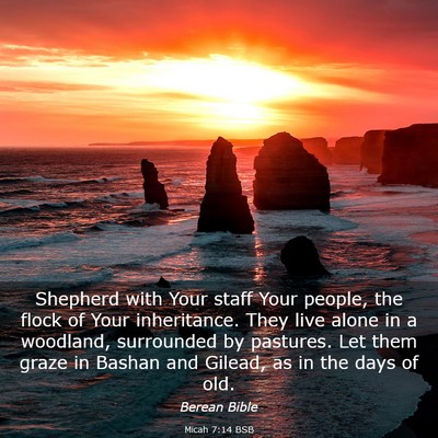 Picture 03 - Micah 7:14 BSB - Shepherd with Your staff Your people, the flock - Bible Verse Picture