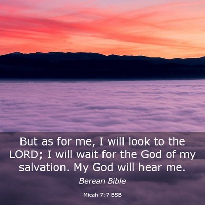 Picture 03 - Micah 7:7 BSB - But as for me, I will look to the LORD; I will - Bible Verse Picture