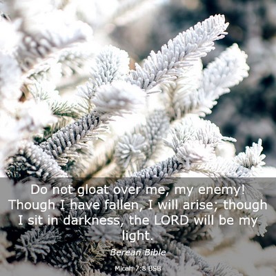 Picture 03 - Micah 7:8 BSB - Do not gloat over me, my enemy! Though I have - Bible Verse Picture