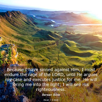 Picture 03 - Micah 7:9 BSB - Because I have sinned against Him, I must endure - Bible Verse Picture