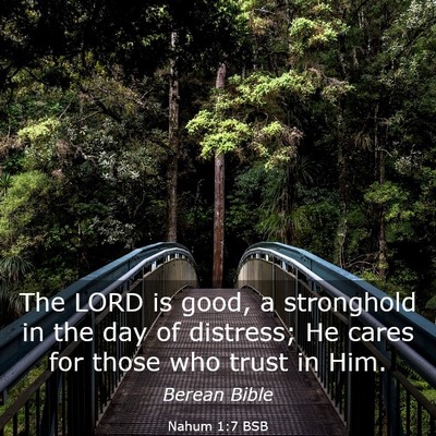 Picture 03 - Nahum 1:7 BSB - The LORD is good, a stronghold in the day of - Bible Verse Picture