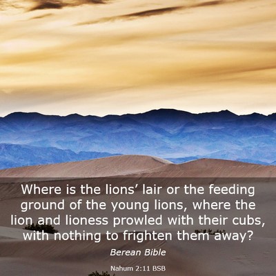 Picture 03 - Nahum 2:11 BSB - Where is the lions’ lair or the feeding ground - Bible Verse Picture
