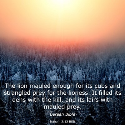 Picture 03 - Nahum 2:12 BSB - The lion mauled enough for its cubs and strangled - Bible Verse Picture
