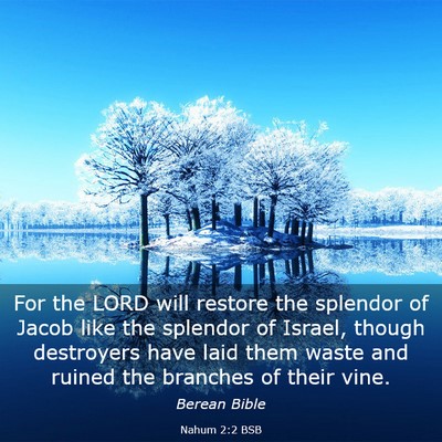 Picture 03 - Nahum 2:2 BSB - For the LORD will restore the splendor of Jacob - Bible Verse Picture