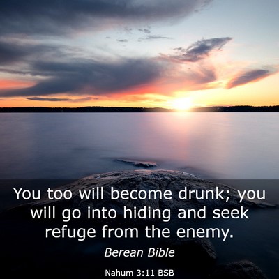 Picture 03 - Nahum 3:11 BSB - You too will become drunk; you will go into - Bible Verse Picture