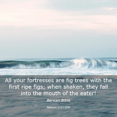 Picture 03 - Nahum 3:12 BSB - All your fortresses are fig trees with the first - Bible Verse Picture