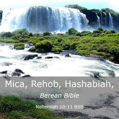 Picture 03 - Nehemiah 10:11 BSB - Mica, Rehob, - Bible Verse Picture
