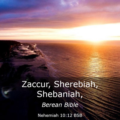 Picture 03 - Nehemiah 10:12 BSB - Zaccur, Sherebiah, - Bible Verse Picture