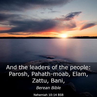 Picture 03 - Nehemiah 10:14 BSB - And the leaders of the people: Parosh, - Bible Verse Picture