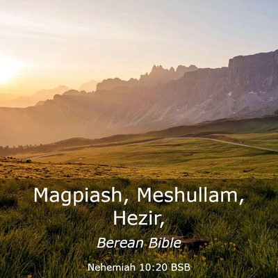 Picture 03 - Nehemiah 10:20 BSB - Magpiash, Meshullam, - Bible Verse Picture
