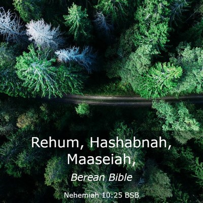 Picture 03 - Nehemiah 10:25 BSB - Rehum, Hashabnah, - Bible Verse Picture