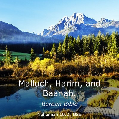Picture 03 - Nehemiah 10:27 BSB - Malluch, Harim, and - Bible Verse Picture