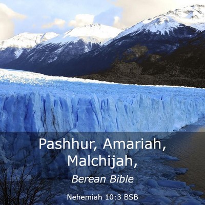 Picture 03 - Nehemiah 10:3 BSB - Pashhur, Amariah, - Bible Verse Picture