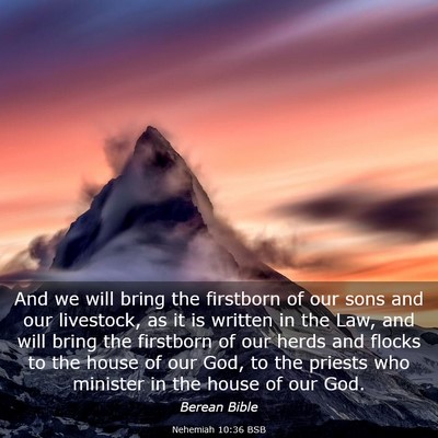 Picture 03 - Nehemiah 10:36 BSB - And we will bring the firstborn of our sons and - Bible Verse Picture