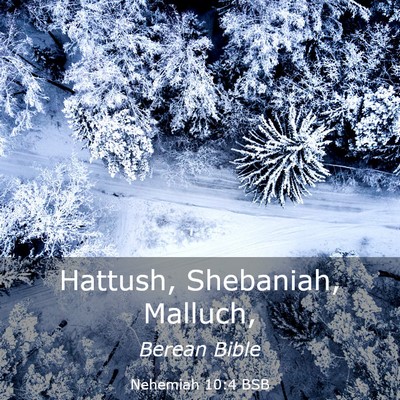 Picture 03 - Nehemiah 10:4 BSB - Hattush, Shebaniah, - Bible Verse Picture
