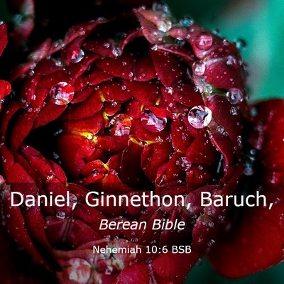 Picture 03 - Nehemiah 10:6 BSB - Daniel, Ginnethon, - Bible Verse Picture