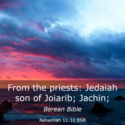 Picture 03 - Nehemiah 11:10 BSB - From the priests: Jedaiah son of Joiarib; - Bible Verse Picture