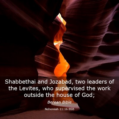 Picture 03 - Nehemiah 11:16 BSB - Shabbethai and Jozabad, two leaders of the - Bible Verse Picture