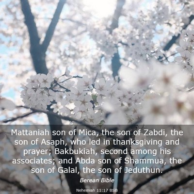 Picture 03 - Nehemiah 11:17 BSB - Mattaniah son of Mica, the son of Zabdi, the son - Bible Verse Picture