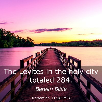 Picture 03 - Nehemiah 11:18 BSB - The Levites in the holy city totaled - Bible Verse Picture