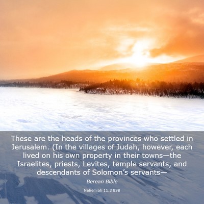 Picture 03 - Nehemiah 11:3 BSB - These are the heads of the provinces who settled - Bible Verse Picture