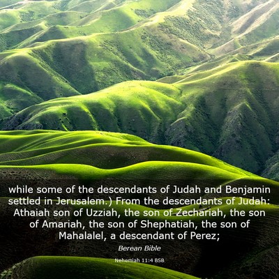 Picture 03 - Nehemiah 11:4 BSB - while some of the descendants of Judah and - Bible Verse Picture