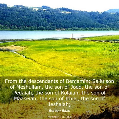 Picture 03 - Nehemiah 11:7 BSB - From the descendants of Benjamin: Sallu son of - Bible Verse Picture