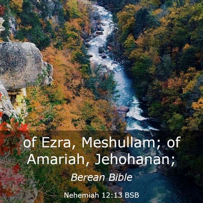 Picture 03 - Nehemiah 12:13 BSB - of Ezra, Meshullam; of Amariah, - Bible Verse Picture
